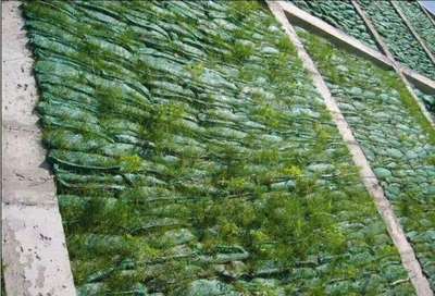 植草袋 高效生态护坡材料的使用、效果及与植生毯对比